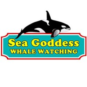 Sea Goddess Whale Watching