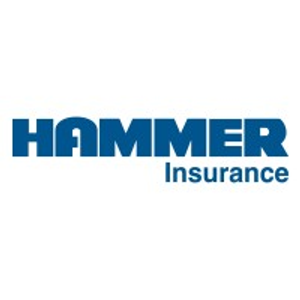 Hammer Insurance Services Inc - Logo