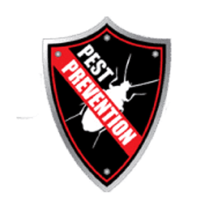 Bug Guardian Pest Prevention - Pest control service in Tempe