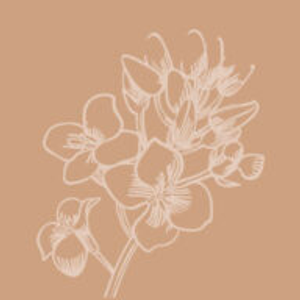 Beauty Sense MedSpa - Logo