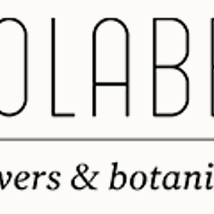 Solabee Flowers & Botanicals