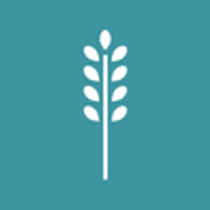 Lindsay Taylor SPAtique - Logo