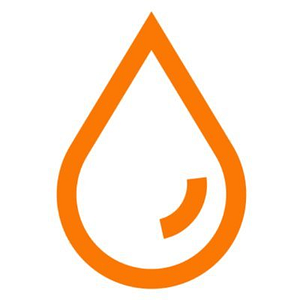 The Plumbing Pros - Logo
