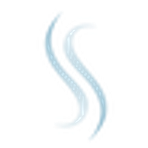 SkinSculpt MedSpa + BodyShaping - Logo