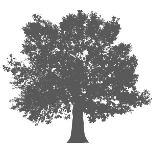 Treeside RV Resort