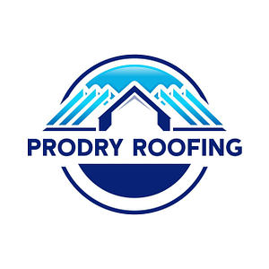 ProDry roofing LLC - Logo
