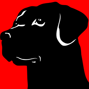 Blackdog Design/Build/Remodel - Logo