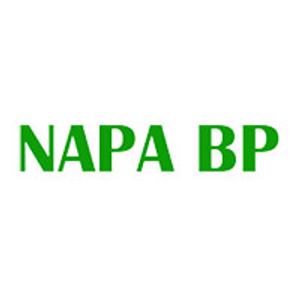NAPA Car Care