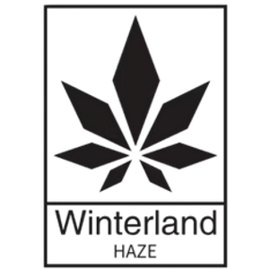 Winterland Haze - Logo
