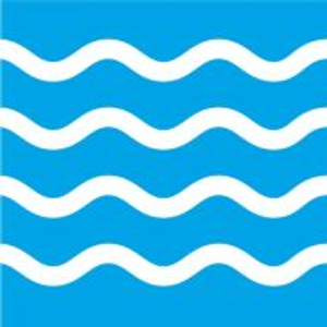 Neptune Air Corporation - Logo