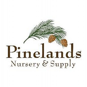 Pinelands Nursery - Logo