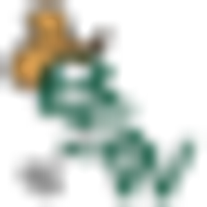Brokerage Southwest - Logo