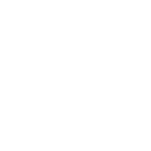 Chamberlin and Wingert Sanitary Services - Logo