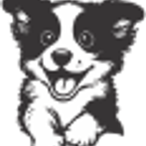 Waggles Dayton