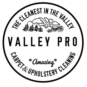 Valley Pro Carpet & Upholstery Cleaning
