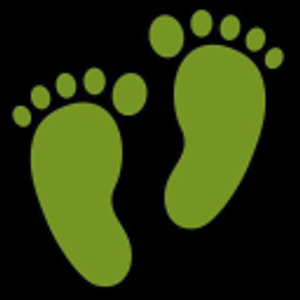 The Foot Care Spa - Logo