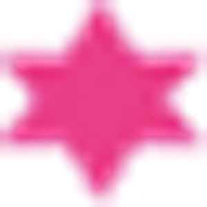 Mitzvah Organizer