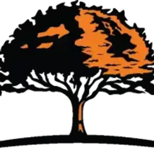 Wayne's Tree Service