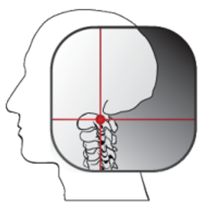 Upper Cervical Hawaii | Dr. Joe Breuwet, DC - Logo