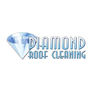 Diamond Roof Cleaning