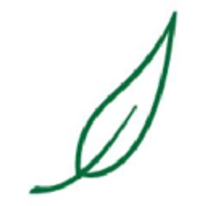 Castle Fresh House Cleaning - Logo