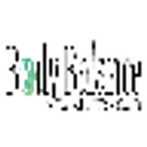 Body Balance - Logo
