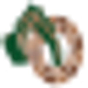 Acosta landscape and paver LLC. - Logo