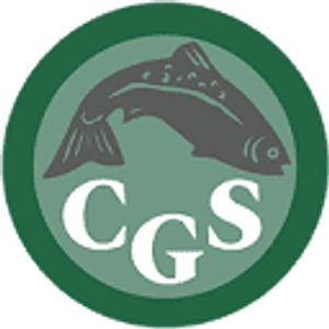Castell Guide Service