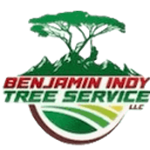 Benjamin Indy Tree Service LLC - Logo