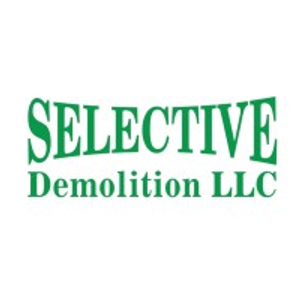 Selective Demolition - Logo