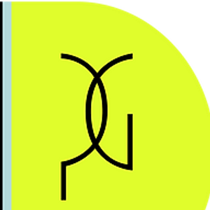 Precision German Garage - Logo