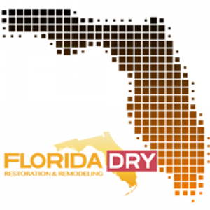 Florida Dry Restoration - Logo