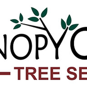 Canopy Care, LLC Tree Services Lexington nc