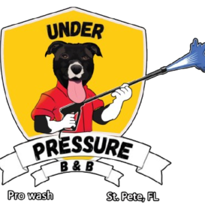 Under Pressure Pro Wash & Haul Patrol Junk Removal