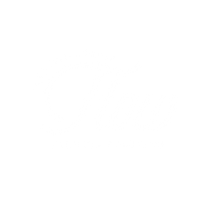 Creative Studio Flow Hermosa Beach - Logo