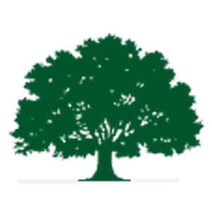Competition Tree Service - Logo