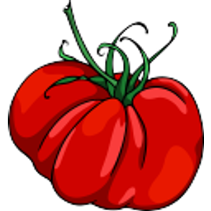 High Country Health Foods - Logo