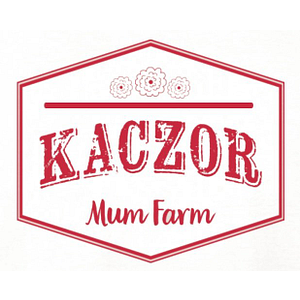 Kaczor Mum Farm