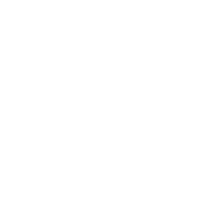 Southwest Florida K9 Services - Logo