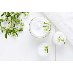 Skinologie Studio Esthetics + Massage - Logo