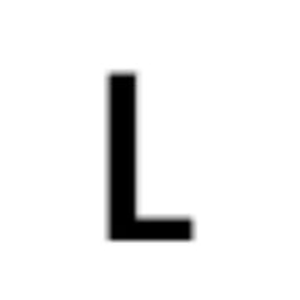 Lesa's Obedience Training - Logo