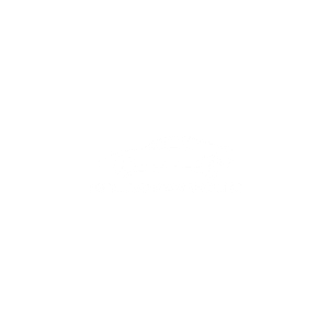 Total Performance