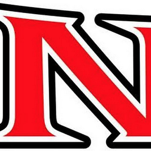 Nail Excavating - Logo