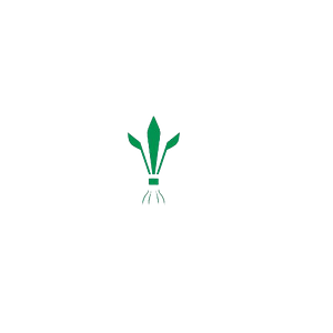 Nitro Green Professional Lawn & Tree Care