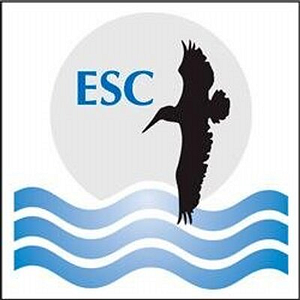 Environmental Safety Consultants, Inc. Tampa, FL - Logo