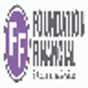 Foundation Financial & Accounting Services LLC - Logo
