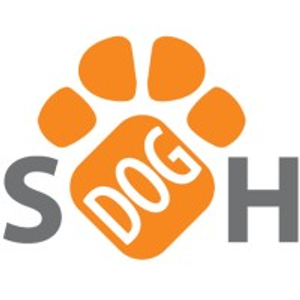 Street Dog Hero