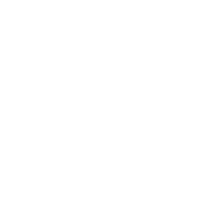 Willy's Auto Repair Shop