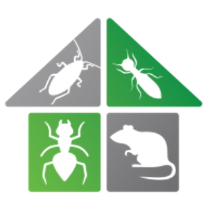 Gray Fox Wildlife Control Experts