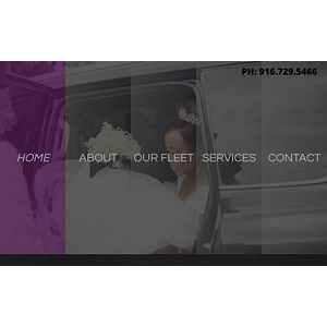 The Mix Master Pro Dj & Limousines - Logo